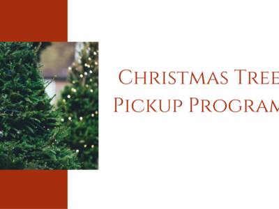 Christmas Tree Pickup Program