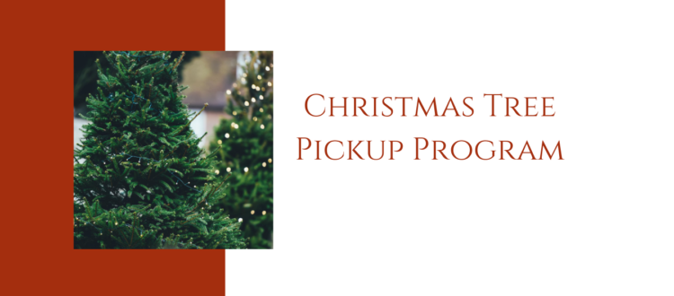 Christmas Tree Pickup Program
